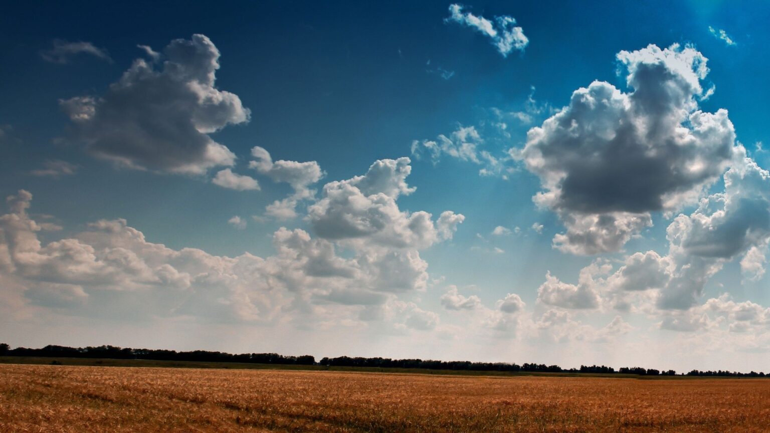 11 Crucial Things to Remmeber When Buying Land Without Mineral Rights