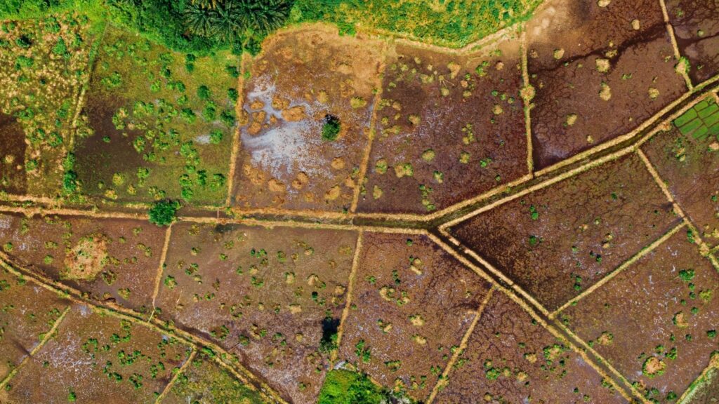 What are some real examples where net mineral acres and net royalty acres are involved