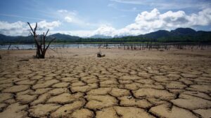 What are Subsurface Rights and How do they Work? - Pheasant Energy