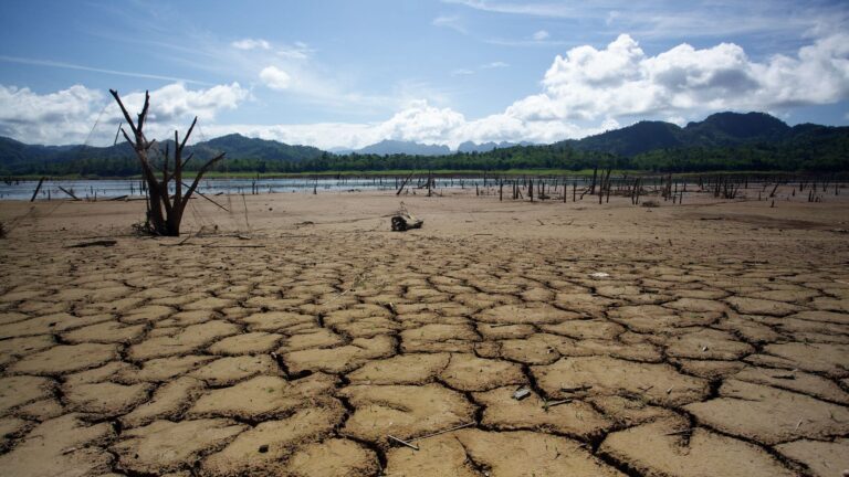 What are Subsurface Rights and How do they Work? - Pheasant Energy