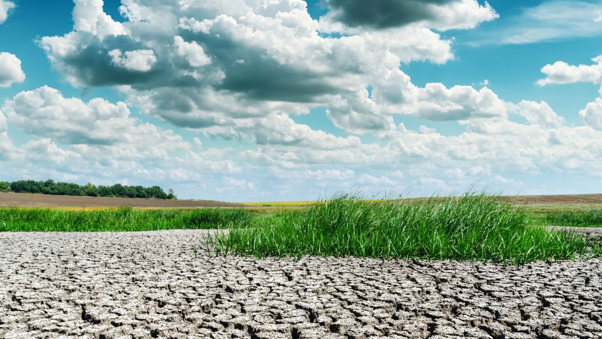 What are Subsurface Rights and How do they Work? - Pheasant Energy