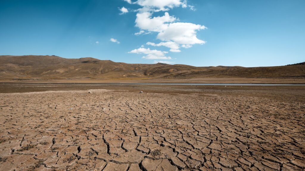 If you find oil on your land, is it yours