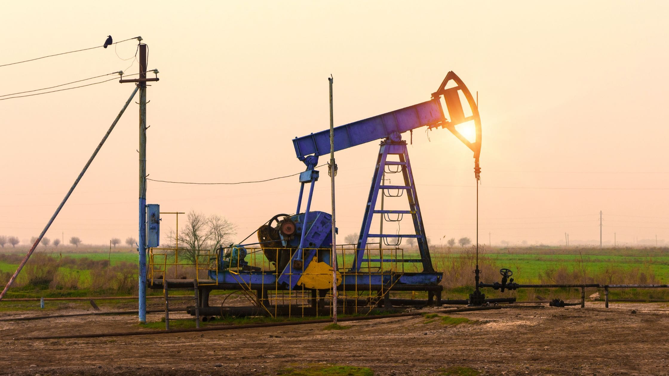 What is Net Revenue Interest in Oil & Gas and How to Calculate It?