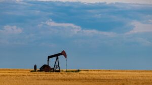 What are mineral rights?
