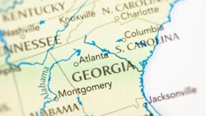 How do you claim mineral rights in Georgia?