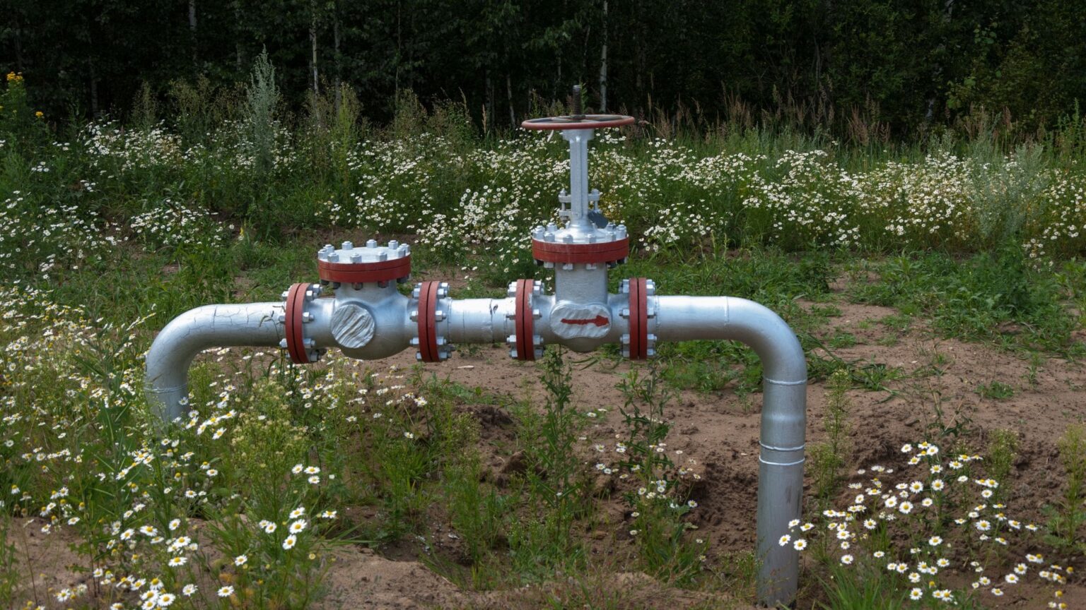 Mineral Rights in Michigan Pheasant Energy