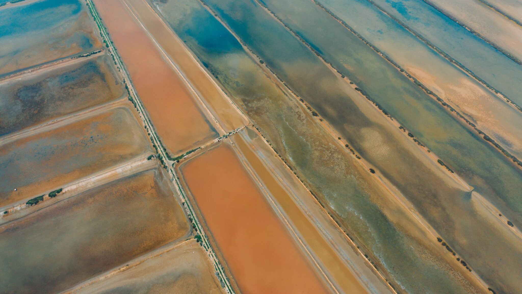 Navigating the Depths of Wealth Understanding Florida's Mineral Rights Landscape Pheasant Energy