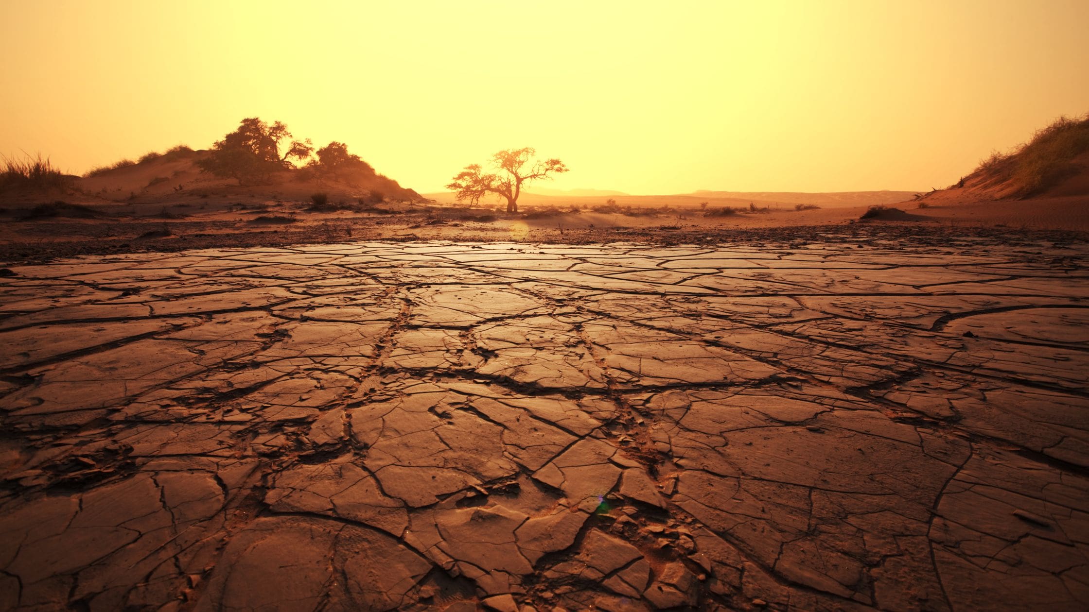 How to Transfer Mineral Rights in Alabama